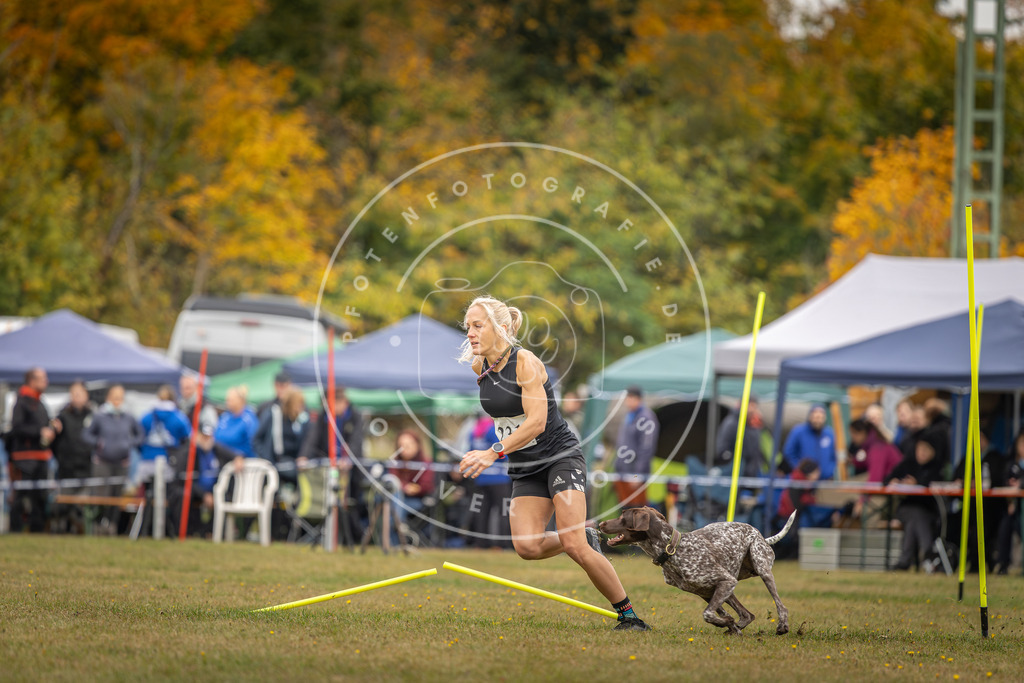 Pfotenfotografie_DV3A4192 | Hundefotografie, Tierfotograf, Pfotenfotografie, Fotoshooting Hund, Hunde Portrait, Hundesport, Hundeportraits, Heideshooting, Hunde, Sportfotograf, Hundefotograf, Turnierhundsport, THS,  - Realisiert mit Pictrs.com