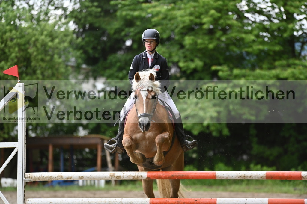 DSC_0602 | equestrian-live-com