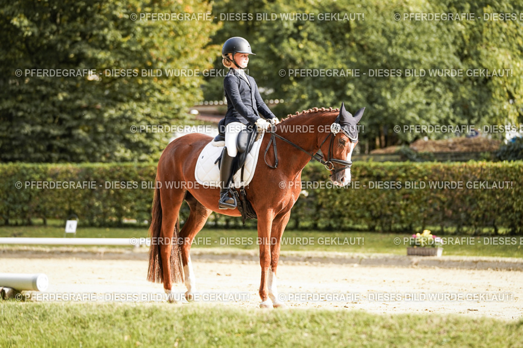 DSC05851 | Pferdegrafie