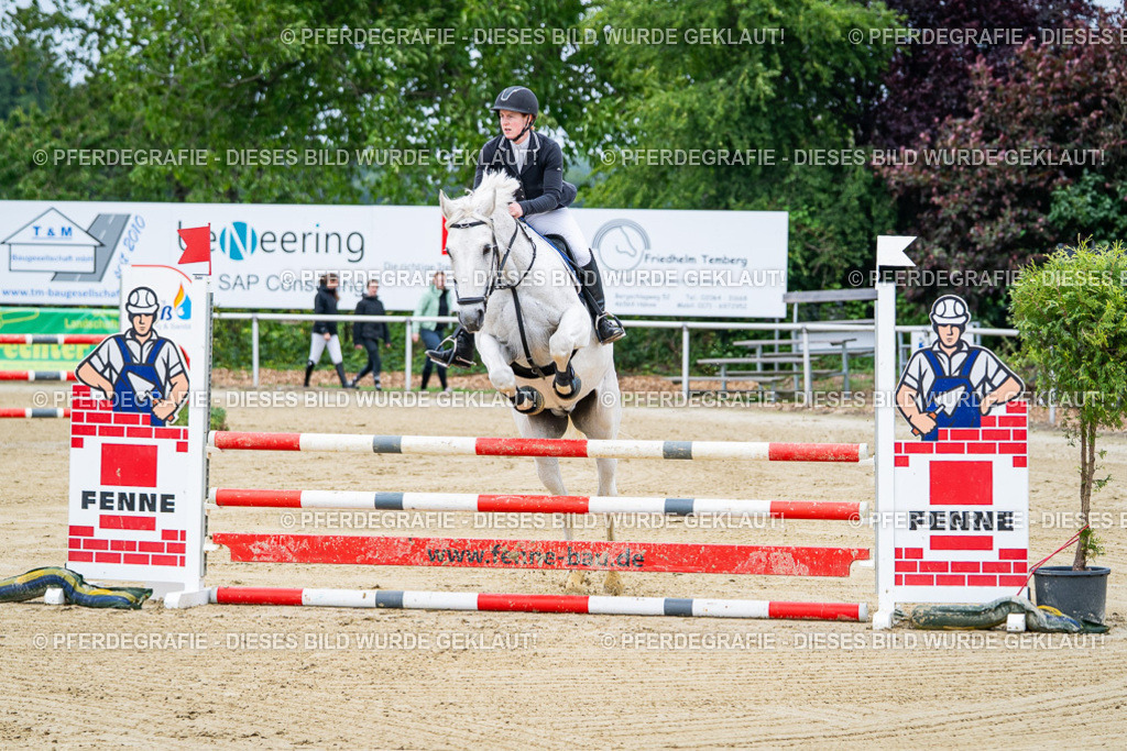 DSC03552 | Pferdegrafie