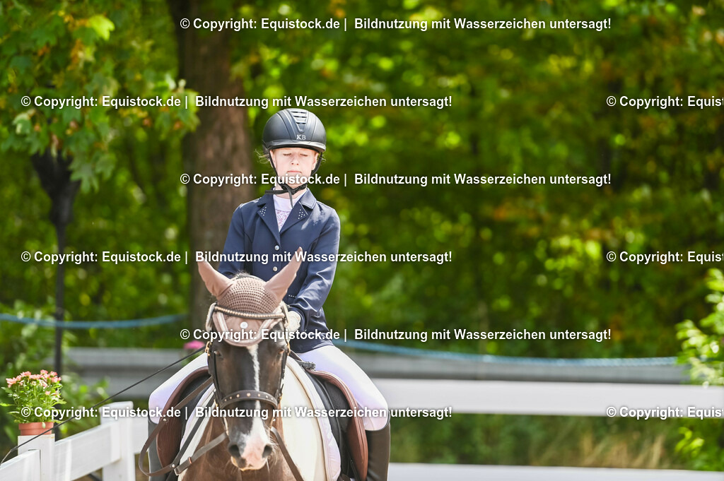 20230716_10-2_Reiter-WB Schritt - Trab - Galopp_0170 | equistock