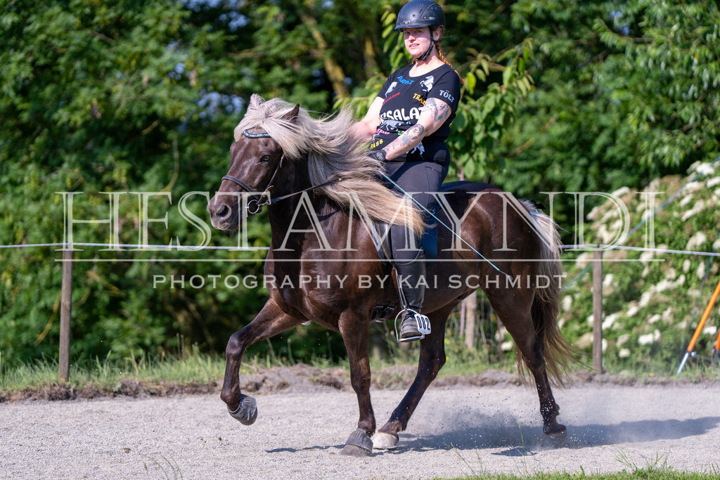KAI07155 | Ihr sucht einen Fotografen für eure nächste OSI? Ich begleite auch euer Turnier für Islandpferde fotografisch.  - Realisiert mit Pictrs.com