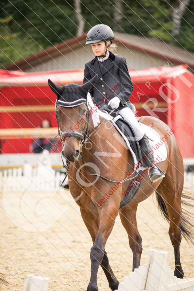 CON_0411 | Sport-, Event- und Tierfotos in Profiqualität. Einfach auswählen, bestellen und herunterladen. Dein Moment – perfekt festgehalten.