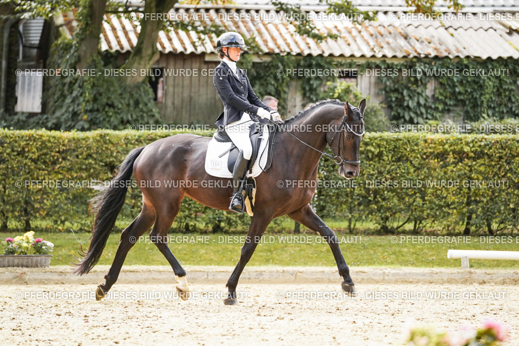 DSC00852 | Pferdegrafie