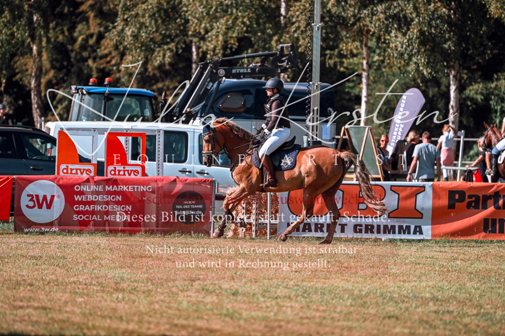 DSC_0775 | Pferde- und Turnierfotografie in Westsachsen. Pferdeportraits, Auftragszeichnungen und intuitive Kunst.