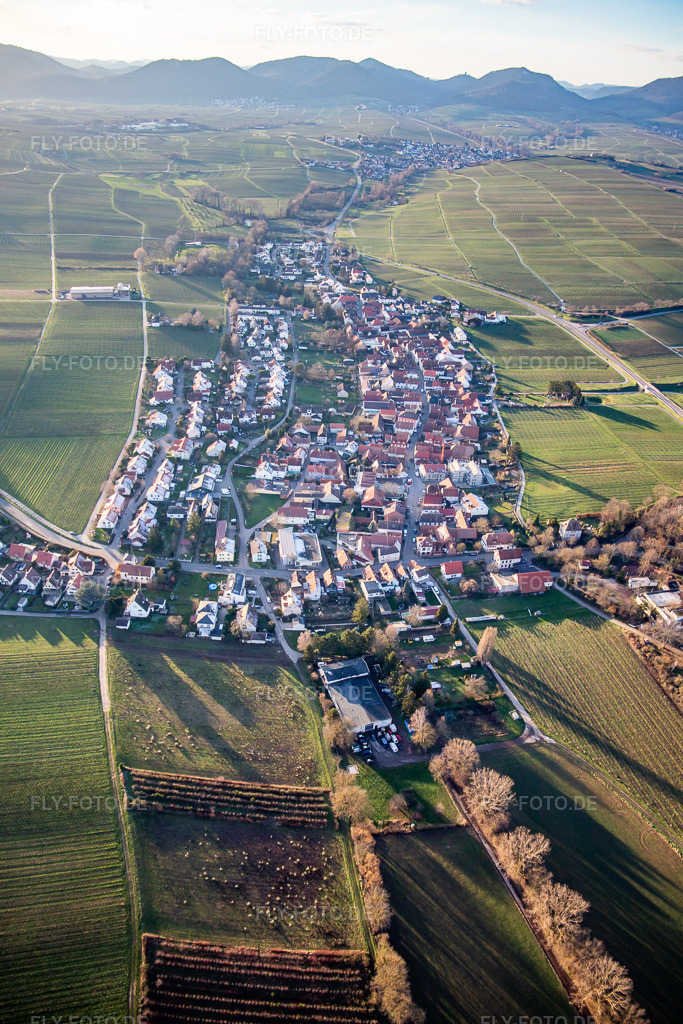 Luftbild: Ortsansicht von Osten im Ortsteil Wollmesheim in Landau im Bundesland Rheinland-Pfalz in Deutschland. Foto: IMG_135802.jpg vom 18.01.2023 durch Werner Riehm/FLY-FOTO.deWWW.WOLLMESHEIM.COM