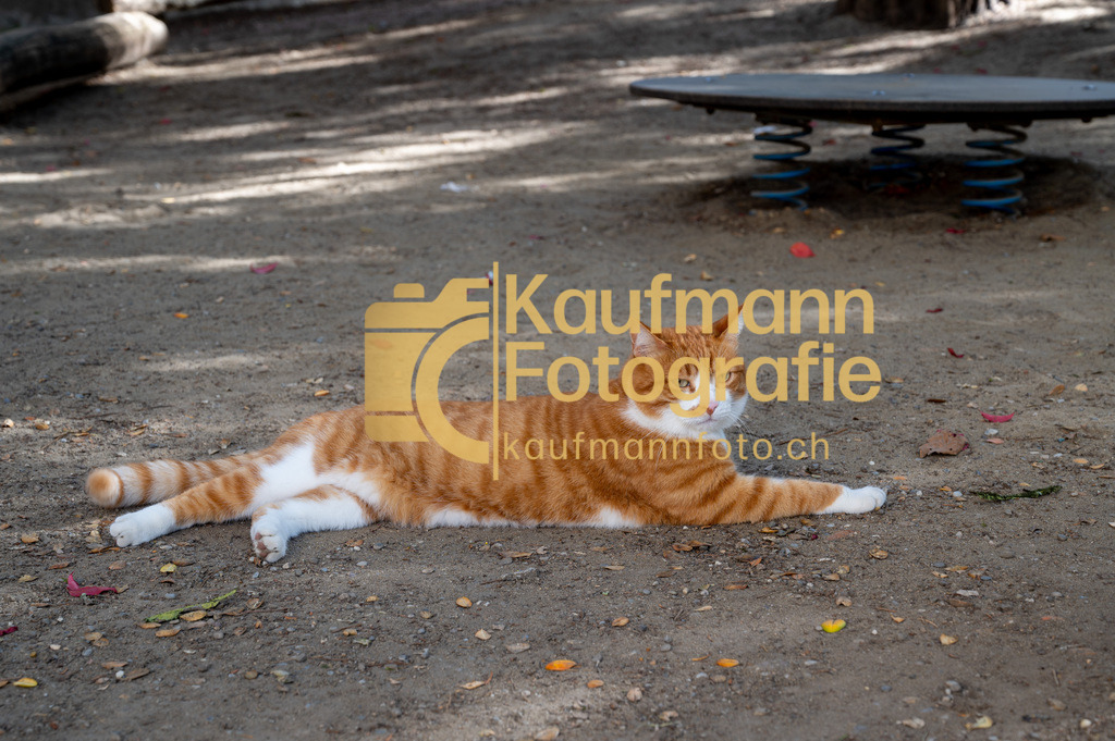 Sukkulentensammlug_Makro_def-3174 | kaufmannfoto - Realisiert mit Pictrs.com