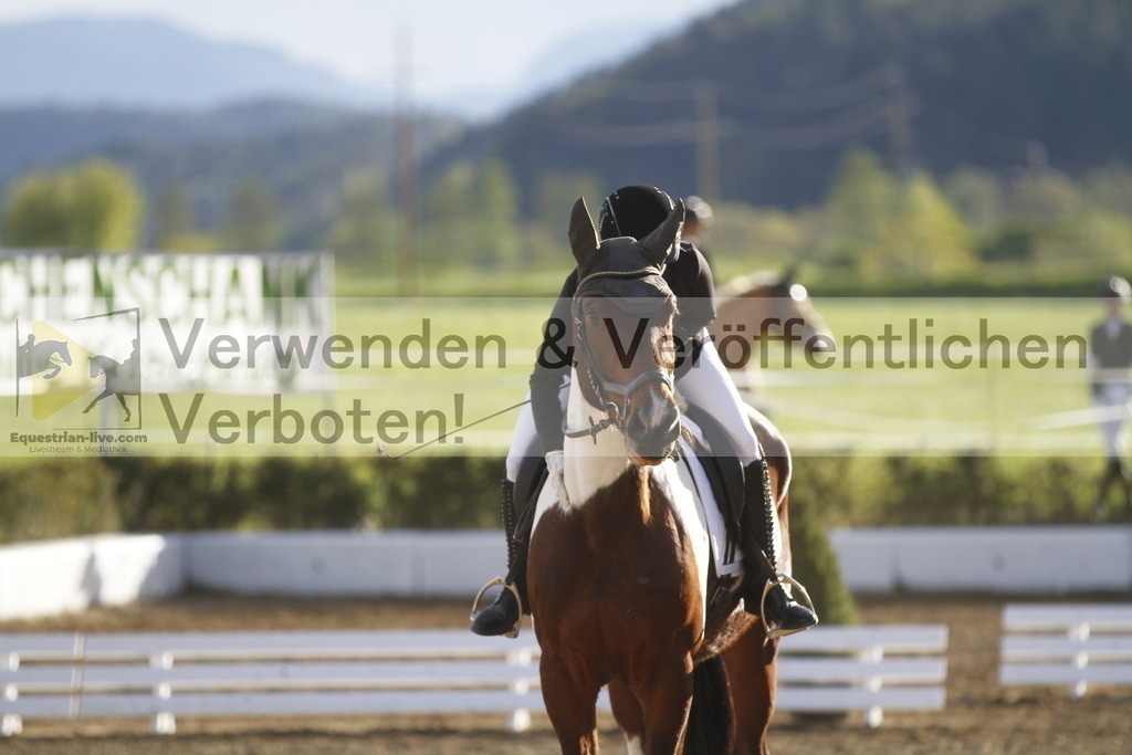 _MG_4353 | equestrian-live-com