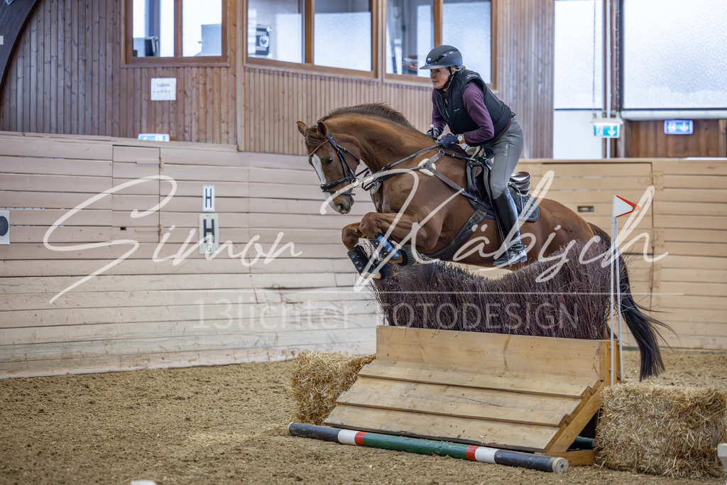 20260221-_3LI8531 | Tierfotografie Pferde, Hunde, Katzen, Haustiere.
Turnierfotografie Reitturniere, Reiten, Springreiten, Dressur in Hanau, dem Main-Kinzig-Kreis und dem Rhein-Main- Gebiet um Frankfurt