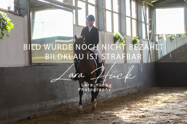 DKP45804 | larahueckfotografie