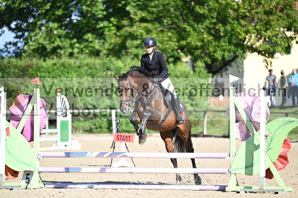 DSC_7891 | equestrian-live-com