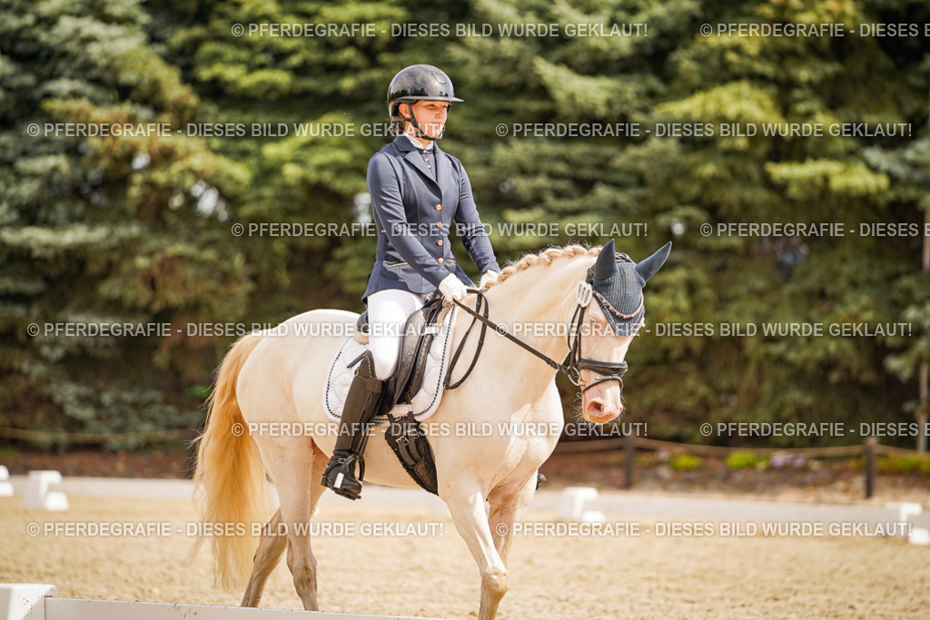 DSC01903 | Pferdegrafie