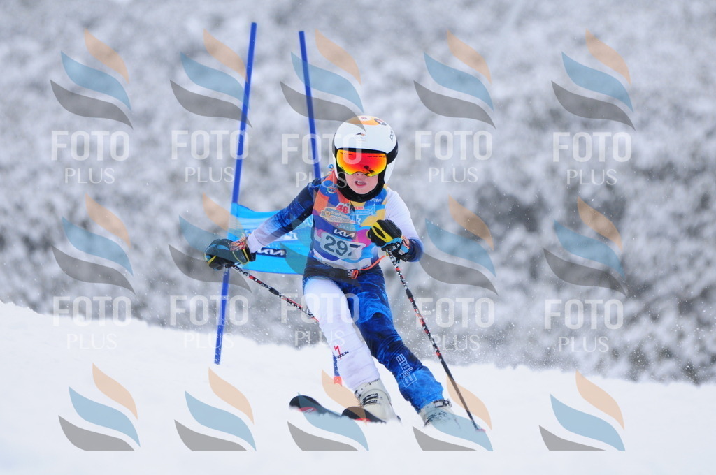 C3135 | holidayphoto