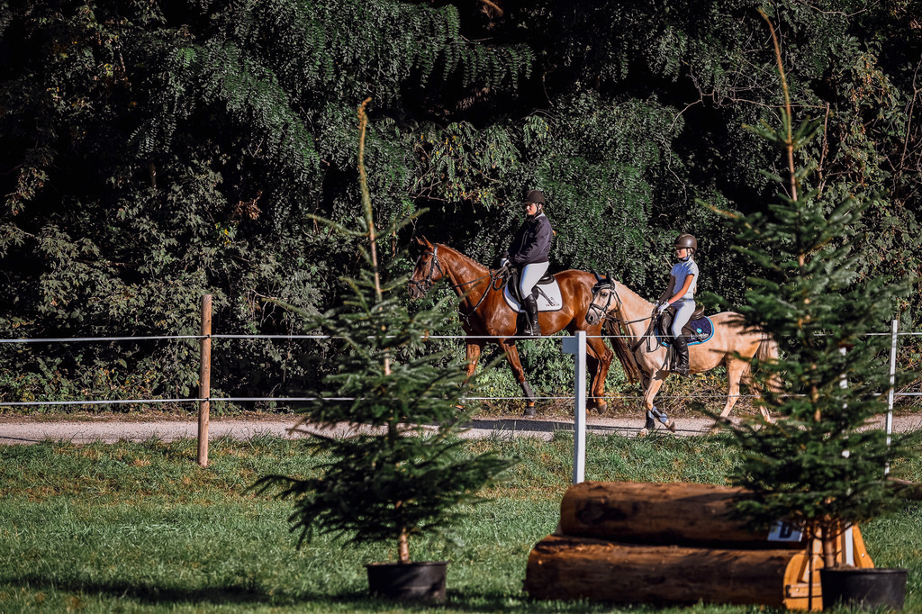 DSC_0209 | Pferde- und Turnierfotografie in Westsachsen. Pferdeportraits, Auftragszeichnungen und intuitive Kunst.