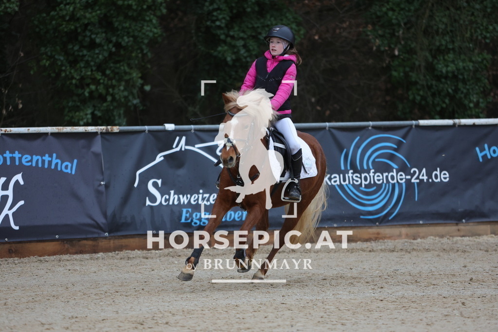 0P6A3641 | Willkommen bei Brunnmayr - Design & Fotografie – Ihrem Spezialisten für Reitturniere und Pferdeveranstaltungen in Oberösterreich, Salzburg und Bayern! Seit über 17 Jahren sind wir leidenschaftlich dabei.