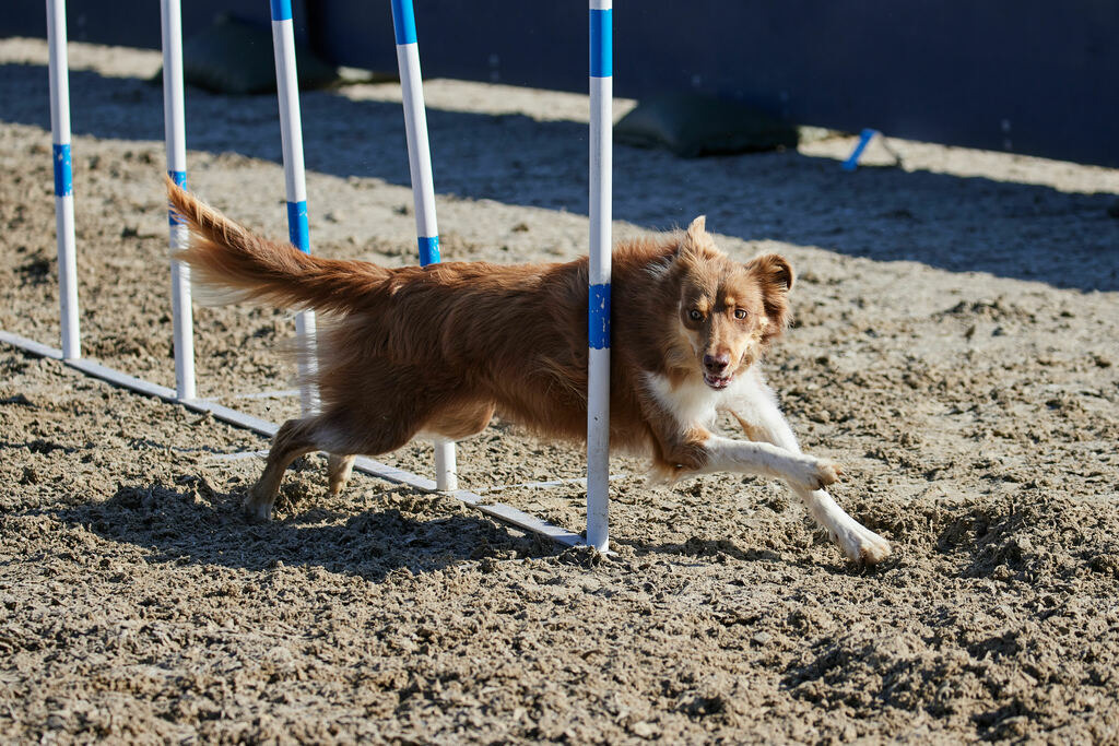 580A0147 | Peter Fridle Fotografie - Realisiert mit Pictrs.com