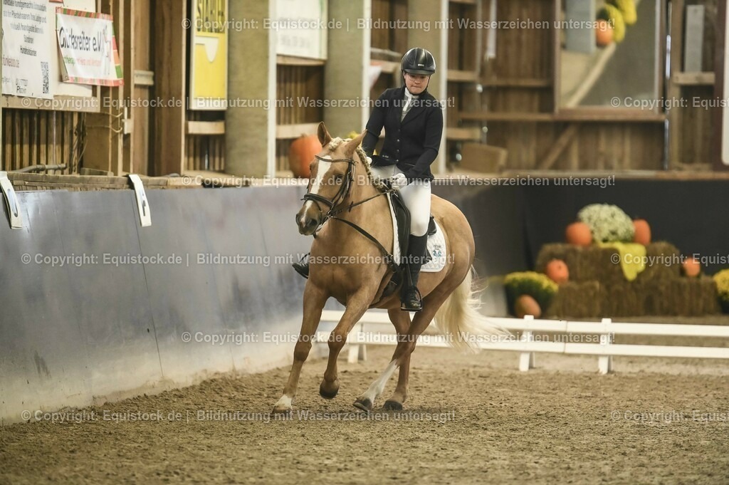 20231029_02_Reiter-WB_Schritt-Trab-Galopp_Abteilung-01_0039 | Foto: Thomas Hartig