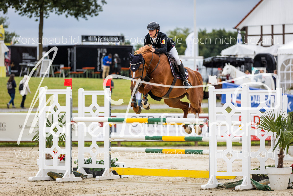 BHO-2PhSpr-M-5-2270 | MomenTaufnahmen Pferdesportfotos