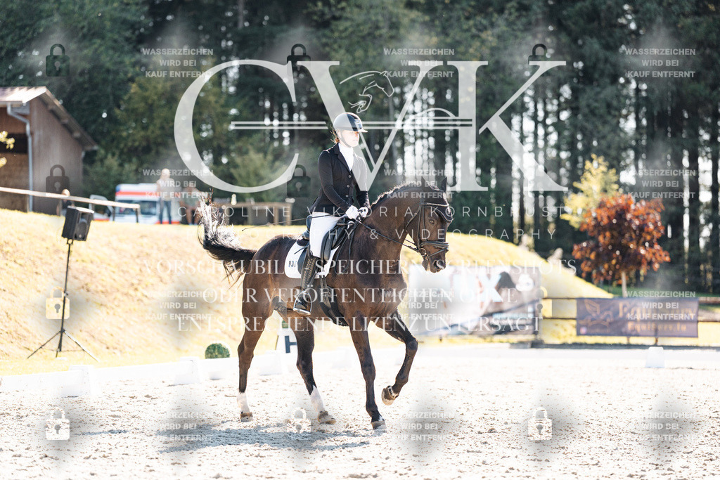 CK905835 | Turnierfotografie Pferdefotografie Trier Rheinland-Pfalz Pferdesport Reitsport Tierfotografie Sportfotografie Pferdevideo Pferdevideografie Equestrianvideography equestrianphotography  - Realisiert mit Pictrs.com