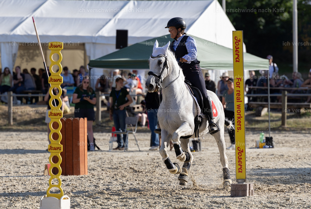WS_SPEED_57_KerstinBernhardt-11 | working equitationturnier fotograf videograf stoibphotography marixx film working equitation deutschland reitsport turnierfotografie eventfotografie equestrian events