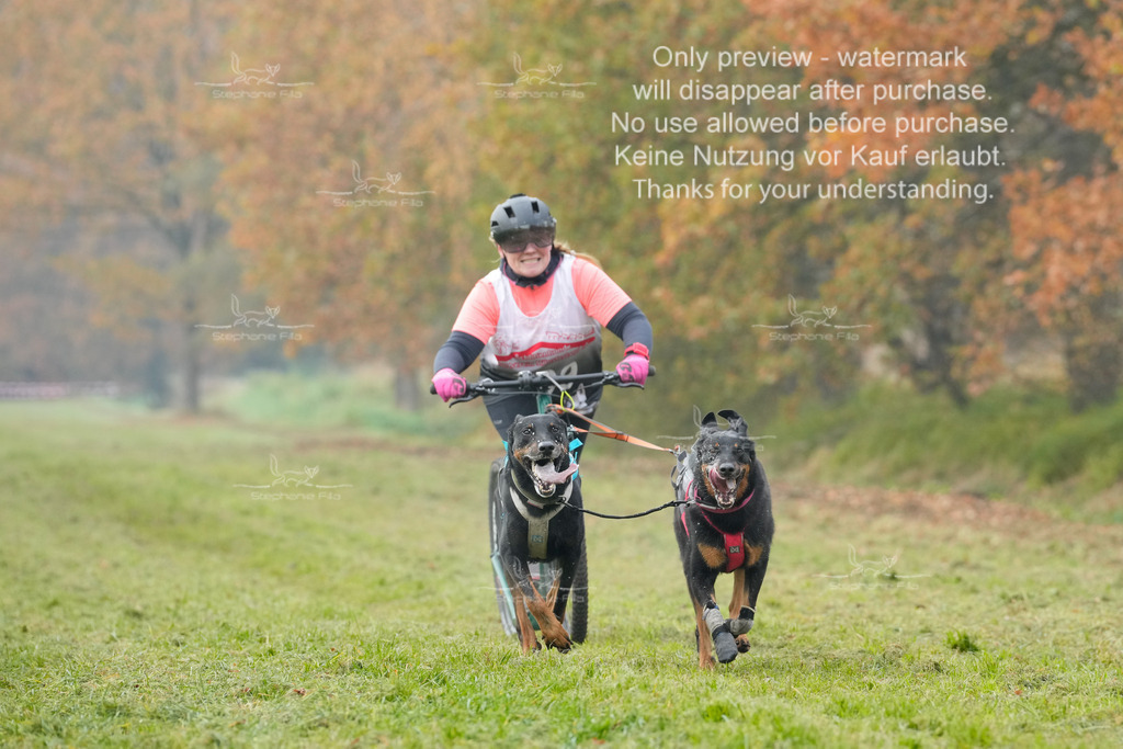 Visbeck_Sa_DS2DR2-87 | stephaniefillaphotographie - Realisiert mit Pictrs.com