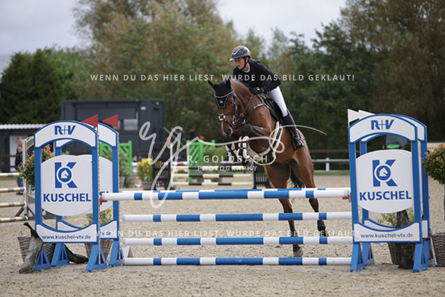 1J2A1803Sophie Kessel_ Universe 10_ Kn954_ Havekost | Foto- und Videografie für alles rund ums Pferd. Hochwertige Bilder und Videos vom Spring- und Dressurreiten, Voltigieren & mehr. Jetzt aktuelle Veranstaltungen und Preise im Shop ansehen. - Realisiert mit Pictrs.com