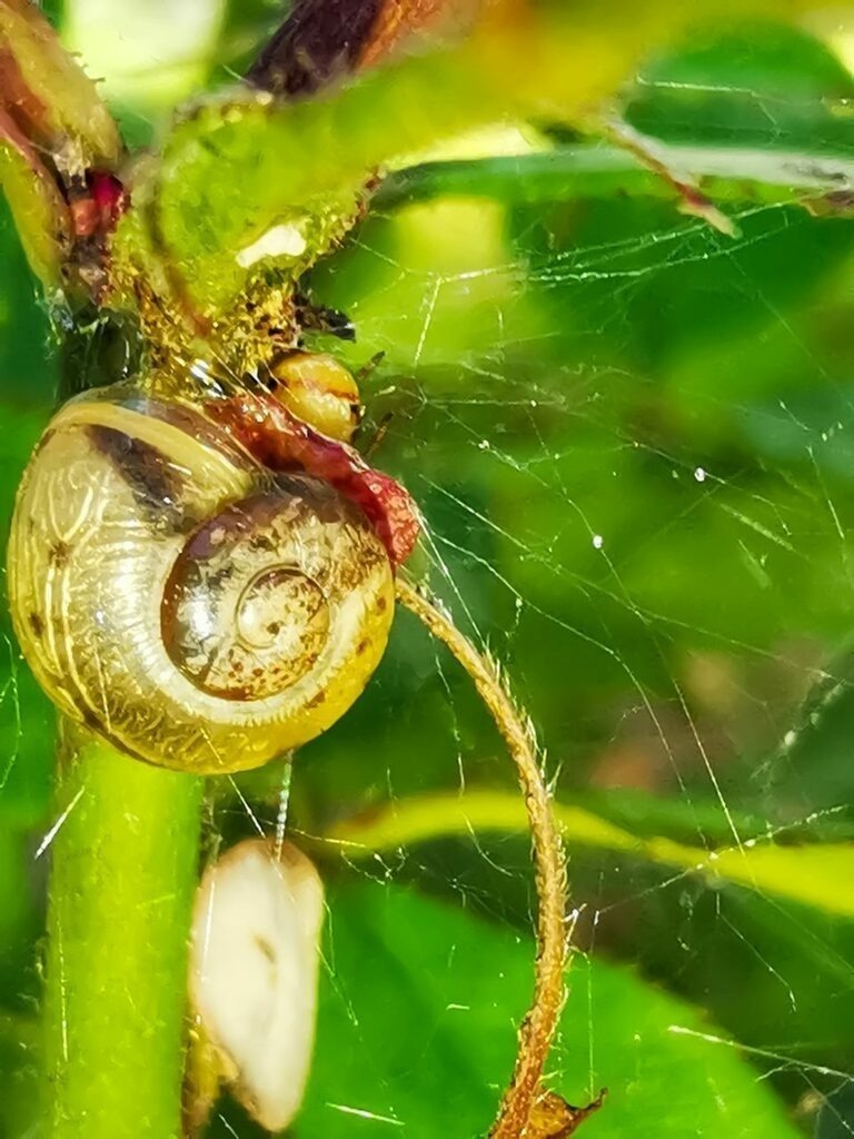 PSX_20221005_224113 | mtkfoto_ - Realisiert mit Pictrs.com