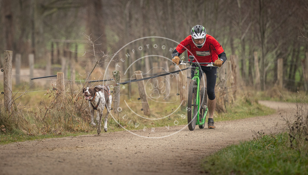 Pfotenfotografie_DV3A2503 | Hundefotografie, Tierfotograf, Pfotenfotografie, Fotoshooting Hund, Hunde Portrait, Hundesport, Hundeportraits, Heideshooting, Hunde, Sportfotograf, Hundefotograf, Turnierhundsport, THS,  - Realisiert mit Pictrs.com