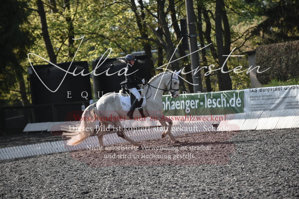20230513_JK-Röhrsdorf-14-011 | Pferde- und Turnierfotografie in Westsachsen. Pferdeportraits, Auftragszeichnungen und intuitive Kunst.