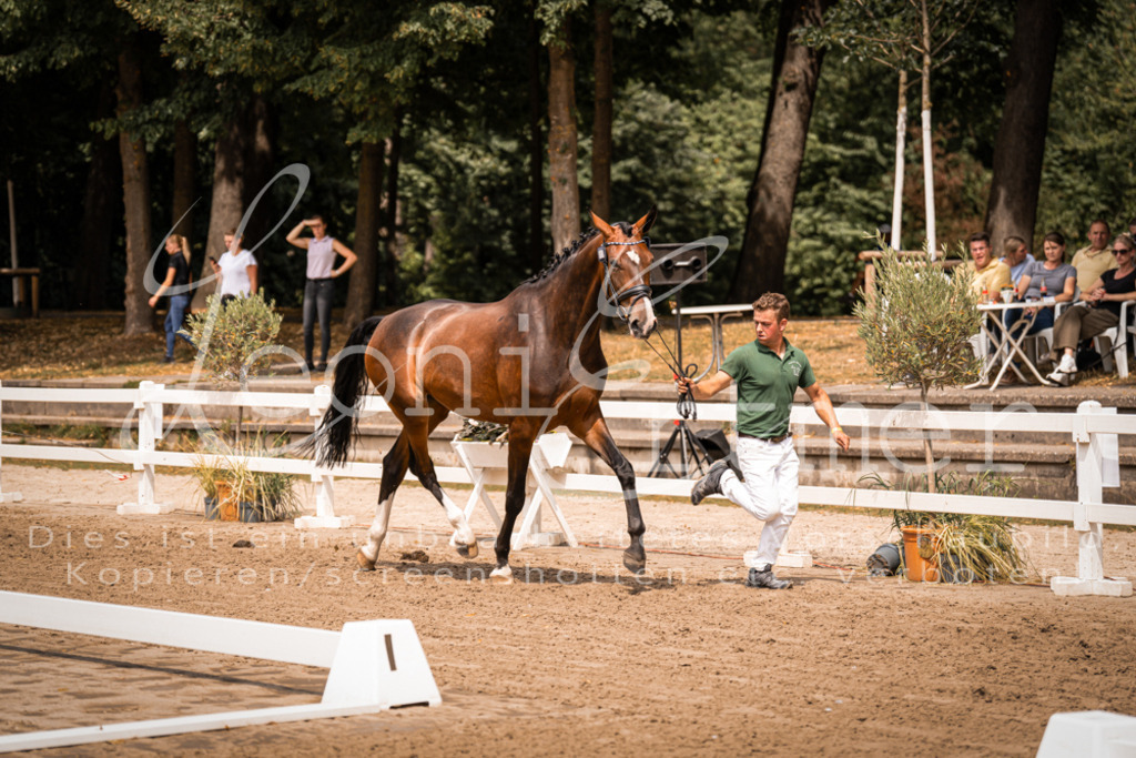 2. Fr00115 | Leoni Ertmer Photography - Realisiert mit Pictrs.com