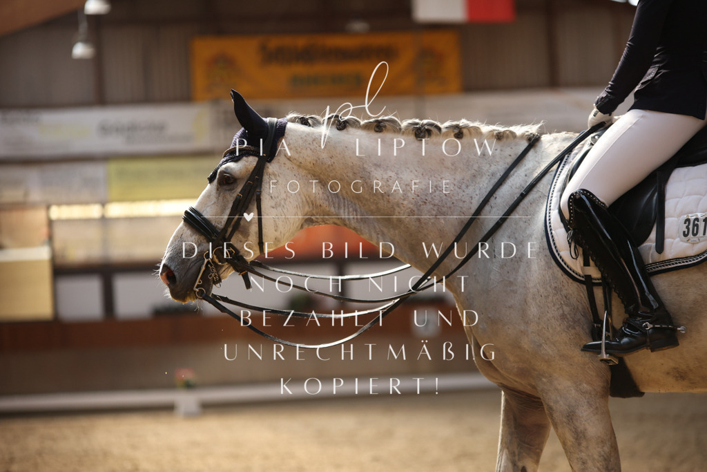 IMGM7627 | pl-fotografie