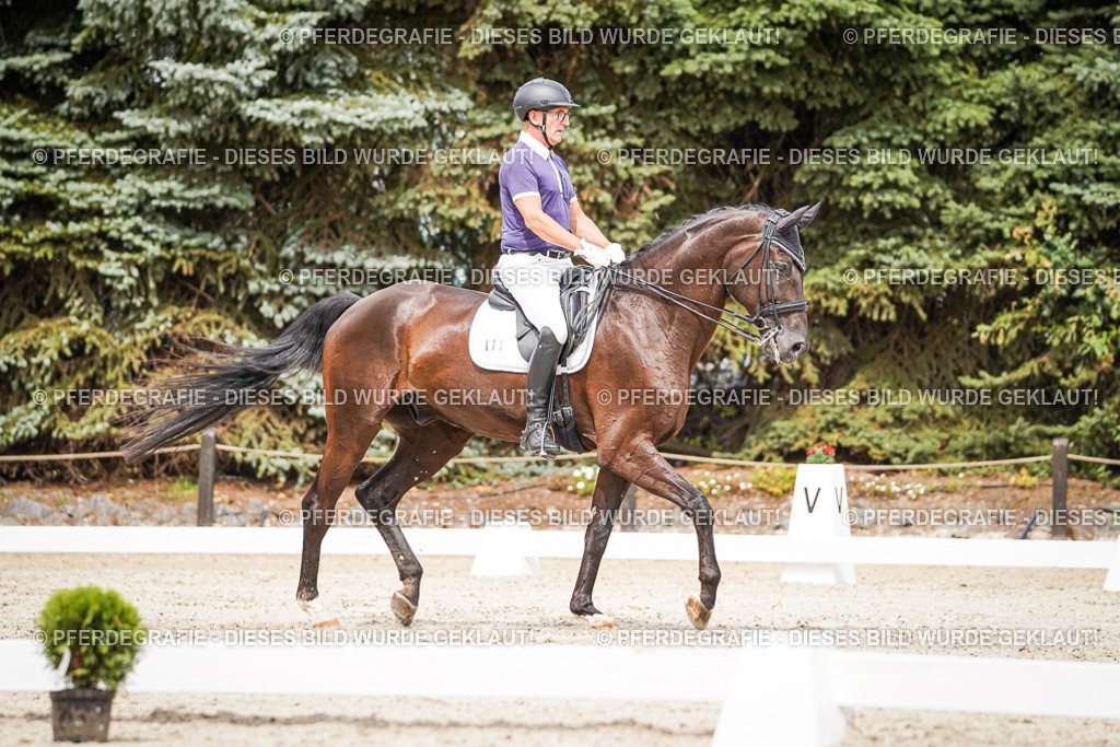 DSC06288 | Pferdegrafie