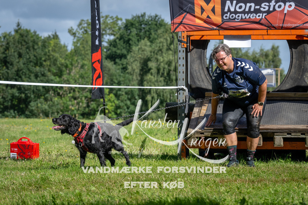 1102_ZZ91767 | kk-dogfotos