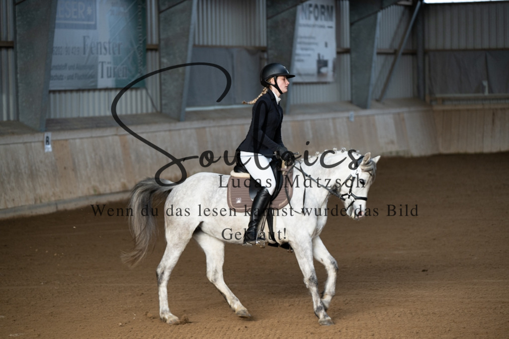 A7V05168 | Pferdefotograf