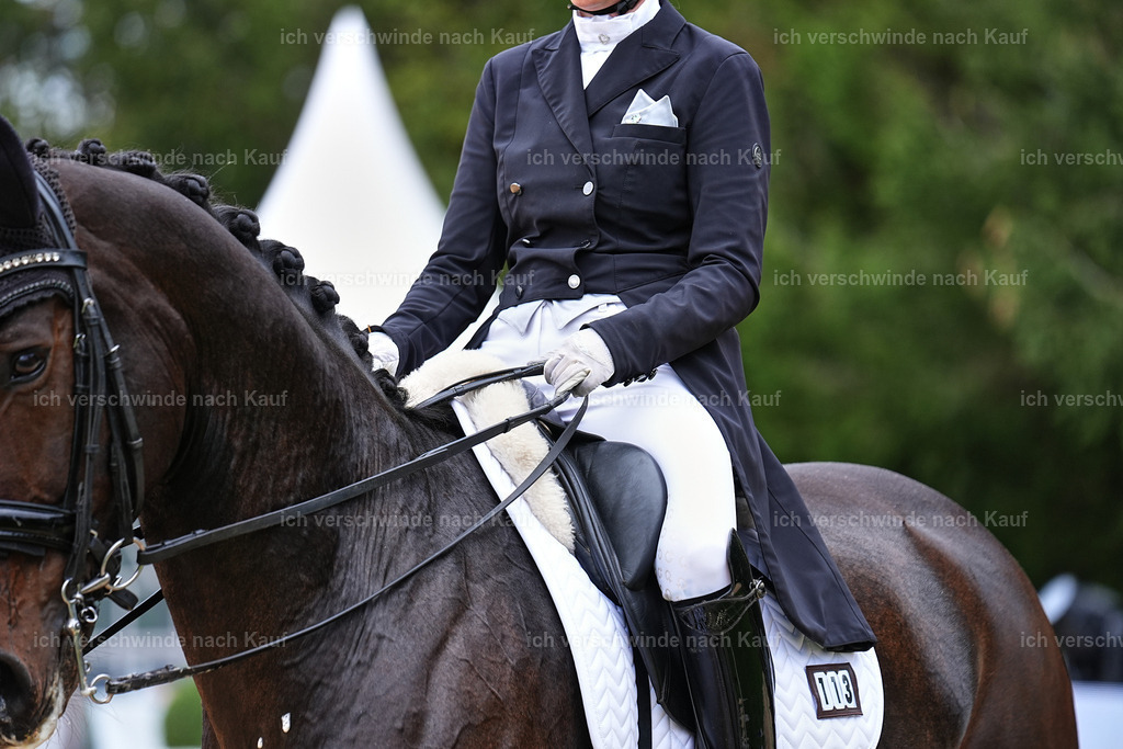 6-113-AMATUER-DRESSUR S_  -Marixx-3749 | working equitationturnier fotograf videograf stoibphotography marixx film working equitation deutschland reitsport turnierfotografie eventfotografie equestrian events