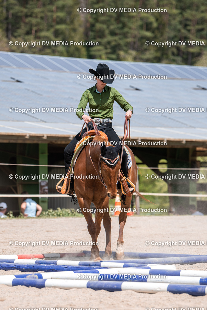 Balingen Tag 4-663 | dv-media-shop - Realisiert mit Pictrs.com