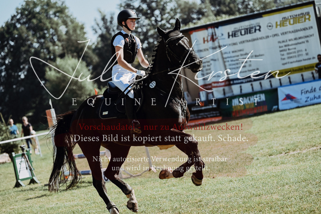 DSC_6003 | Pferde- und Turnierfotografie in Westsachsen. Pferdeportraits, Auftragszeichnungen und intuitive Kunst.