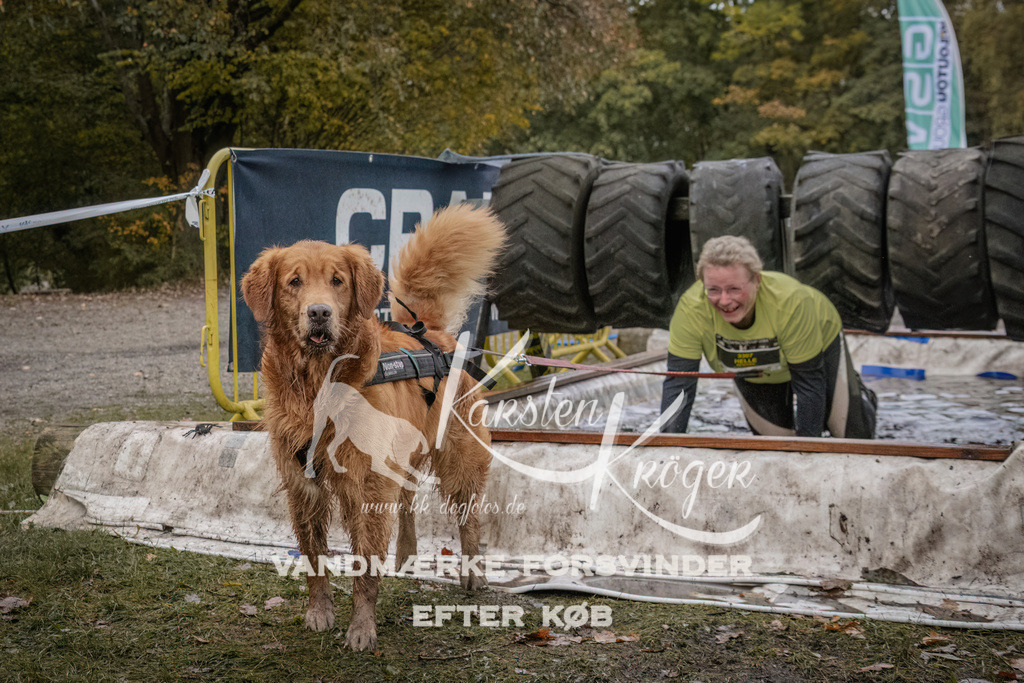 1629_ZZ93509 | kk-dogfotos