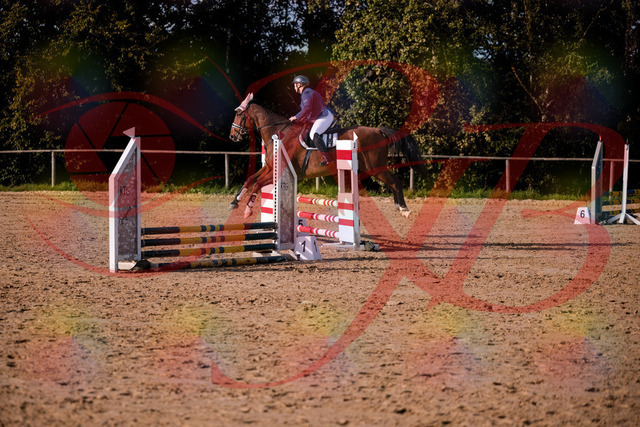2026_10_03_Siefer-Hof_160647_Z81_88542920 | Professionelle Reitsport-, Turnier- und Eventfotografie von Robert Broda. Galerien mit ausgewählten und bearbeiteten Bildern direkt online ansehen und bestellen.