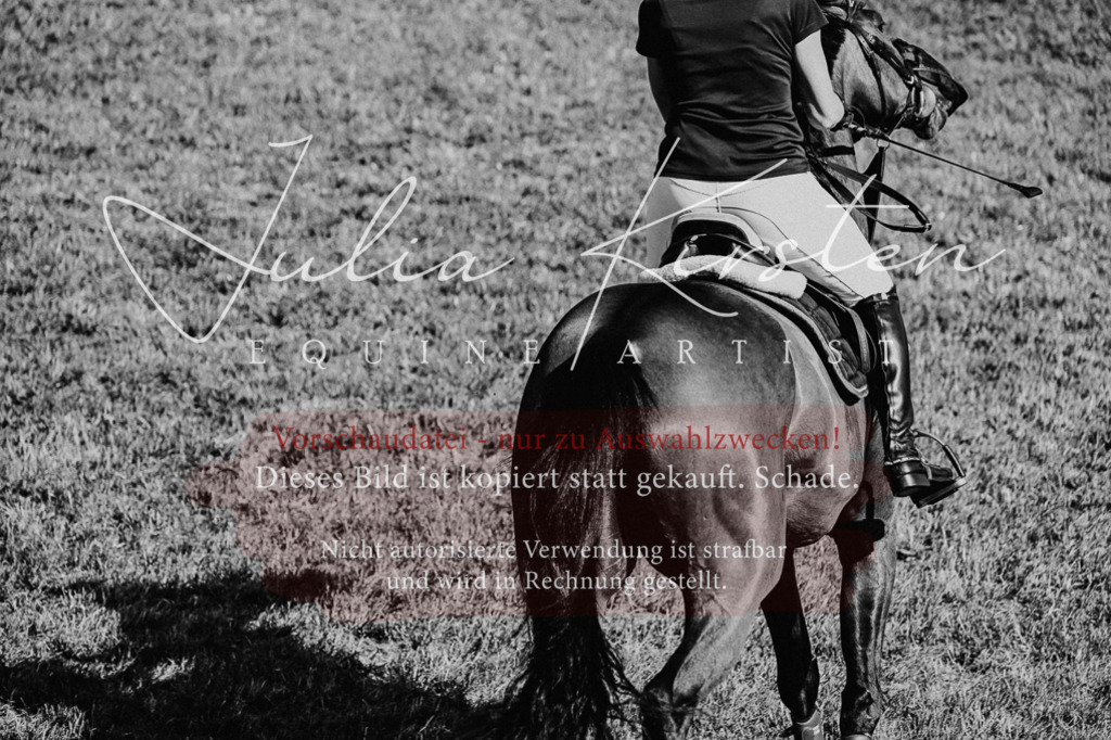 DSC_2142 | Pferde- und Turnierfotografie in Westsachsen. Pferdeportraits, Auftragszeichnungen und intuitive Kunst.