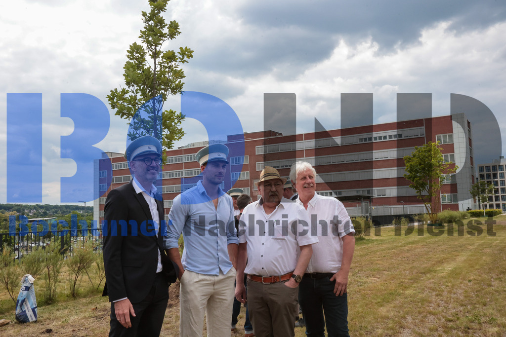 Eicheingrabung | Eicheingrabung - Realisiert mit Pictrs.com