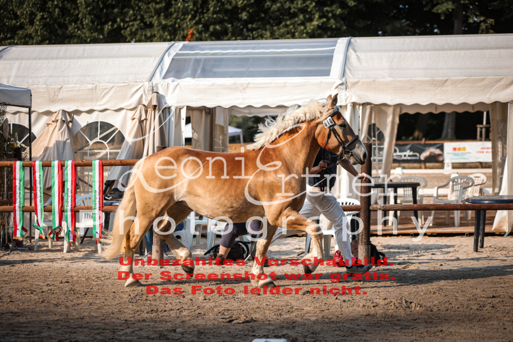 Fr3K00050 | Leoni Ertmer Photography - Realisiert mit Pictrs.com