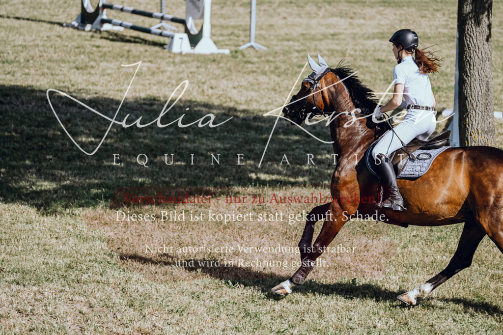 DSC_2063 | Pferde- und Turnierfotografie in Westsachsen. Pferdeportraits, Auftragszeichnungen und intuitive Kunst.