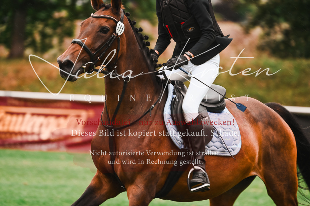 DSC_5864 | Pferde- und Turnierfotografie in Westsachsen. Pferdeportraits, Auftragszeichnungen und intuitive Kunst.