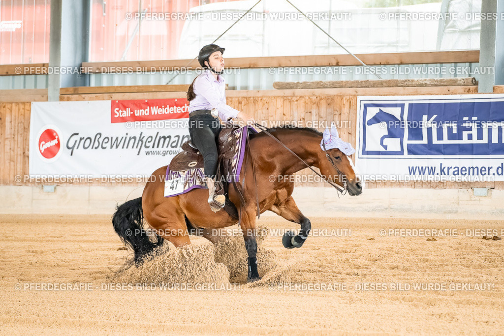 DSC02078 | Pferdegrafie