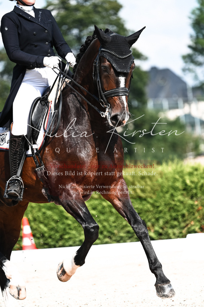 DSC_3373 | Pferde- und Turnierfotografie in Westsachsen. Pferdeportraits, Auftragszeichnungen und intuitive Kunst.