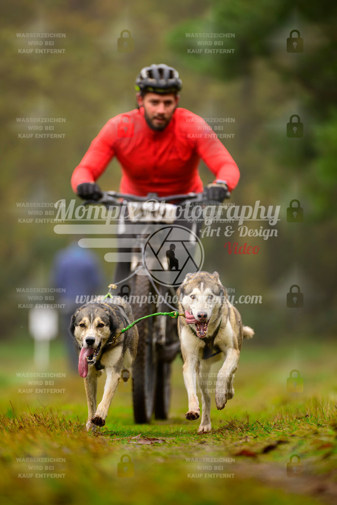 MompixPhotography_Bischwiller2025_Bike-119 | mompixphotography