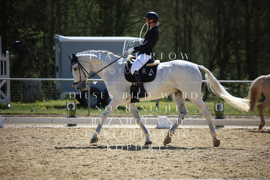 IMGT1679 | pl-fotografie