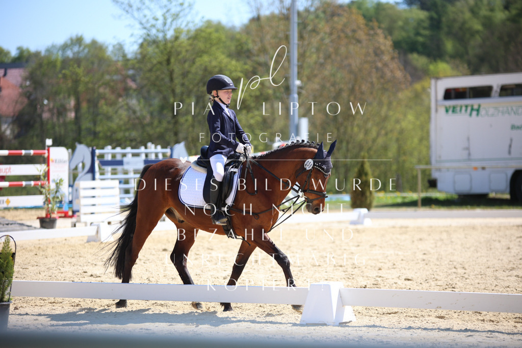 IMGT0765 | pl-fotografie