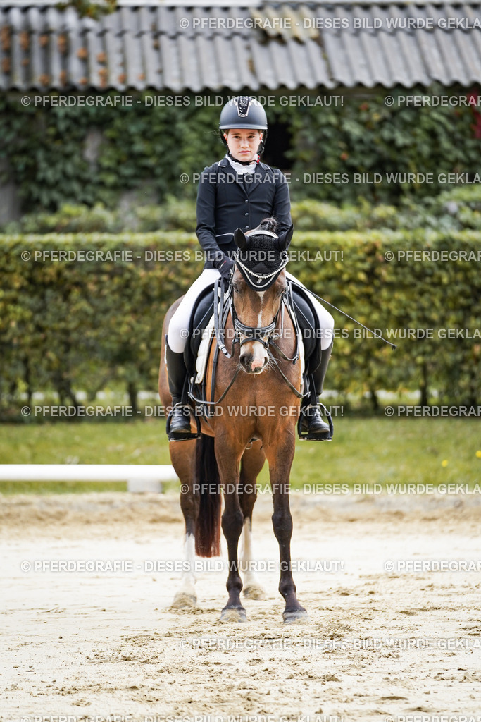 DSC04948 | Pferdegrafie